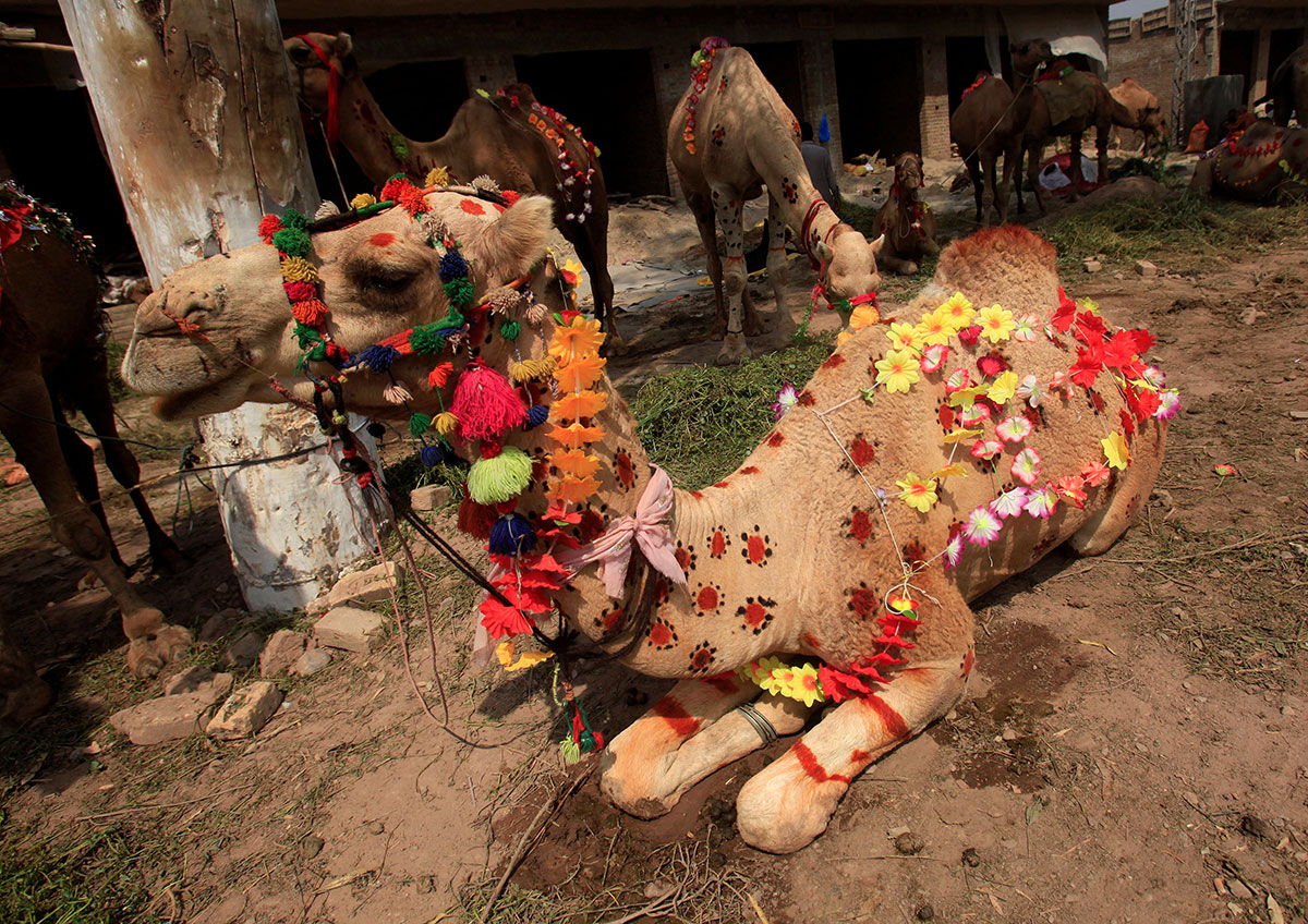 Holidays in Jordan: A Celebration of Culture and Tradition