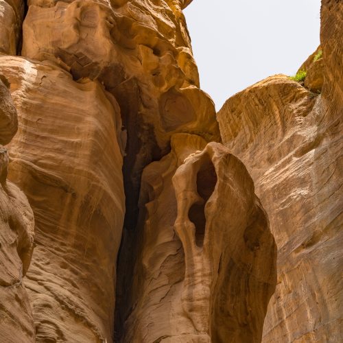 Canyon in Petra, Jordan